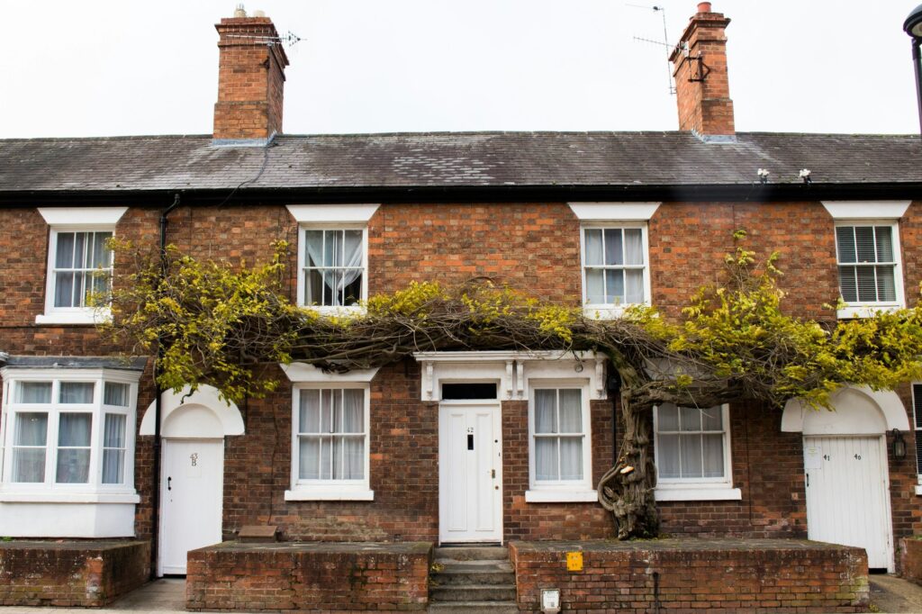 A row of brick terraced houses with white doors and windows. A large, twisted vine grows across the front of the middle house.